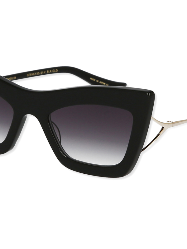 Classic black sunglasses