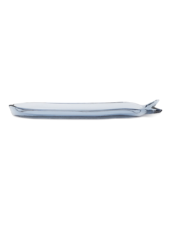 Blue Ocean/ Small Fish Shape Serving Dish