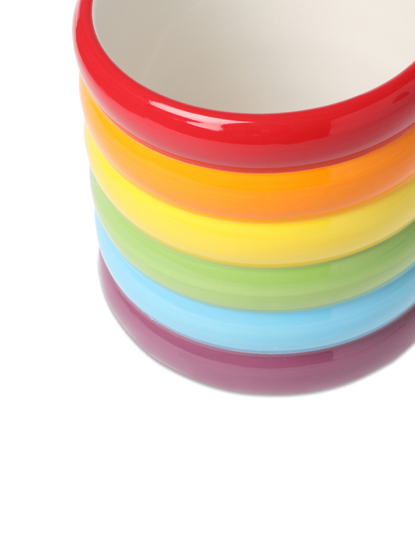 Rainbow Plant Pot