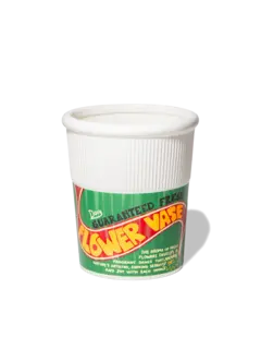 /original/DYVASCSNO_DOIY_Green_1.png_convert-240x320