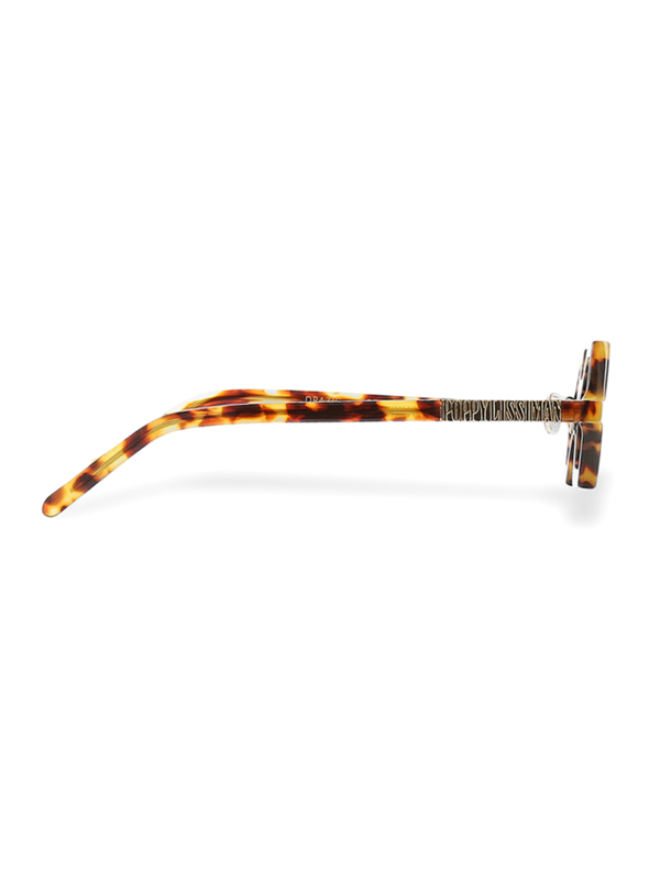 Brown Drazic Hexagonal Glasses