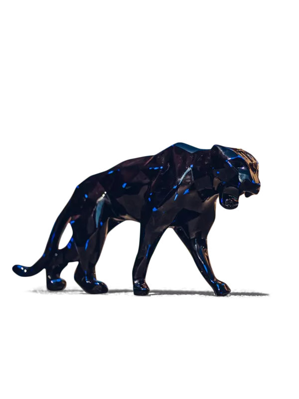 /original/EAIIV_RIOR_DplyBlkBlu_1.png_convert-600x800