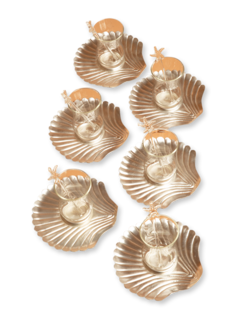 Shell Istikana