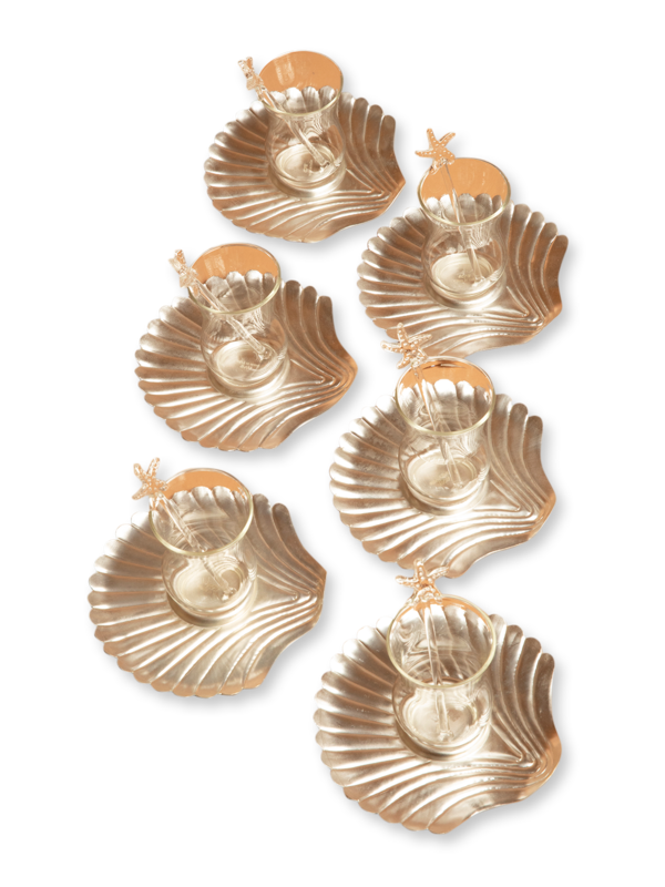 Shell Istikana