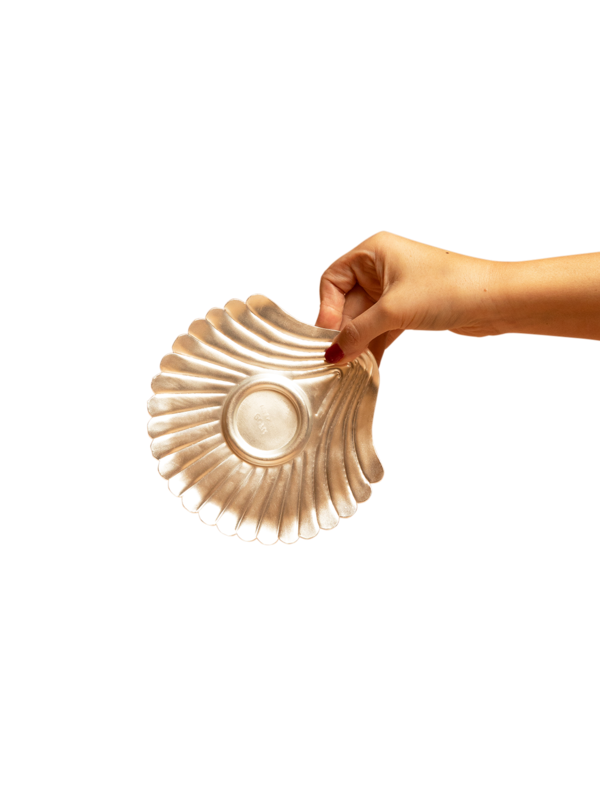 Shell Istikana
