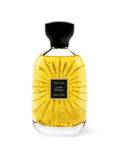 /original/EDPB100003_ATDO_NA_1.png_convert-240x320