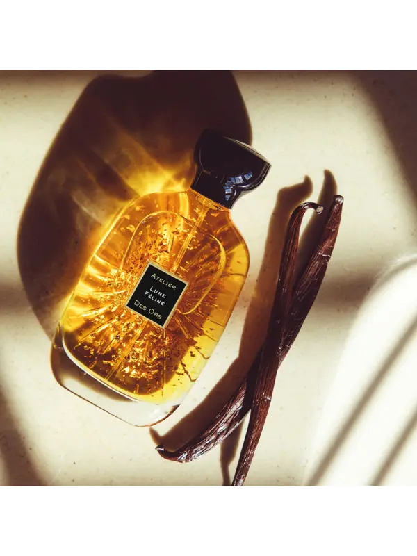 /original/EDPB100003_ATDO_NA_2.png_convert-600x800