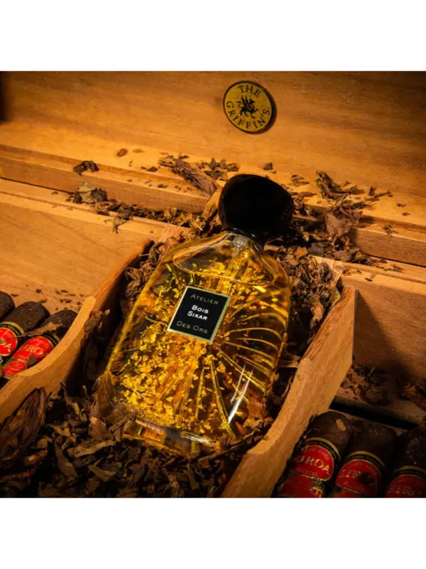 /original/EDPB100009_ATDO_NA_2.png_convert-600x800