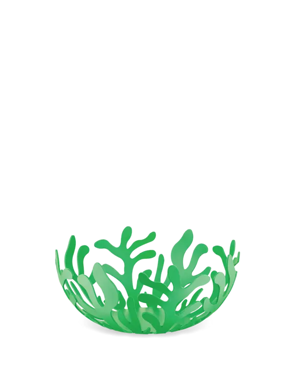 Mediterraneo x Fruit Holder