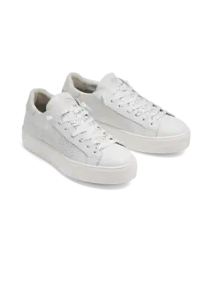 /original/F25THEA1-W_CONS_Whitedia_2.png_convert-240x320