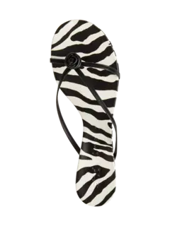 /original/F868SSN_STAM_BLK_5.png_convert-240x320