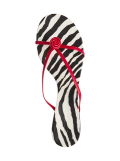 /original/F868SSN_STAM_CHI_5.png_convert-240x320