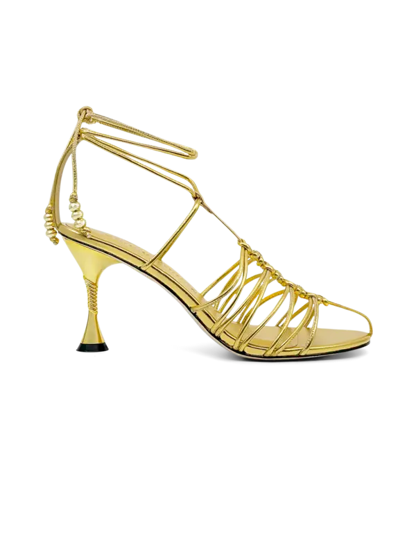 /original/F886CFS_STAM_Gld_1.png_convert-600x800