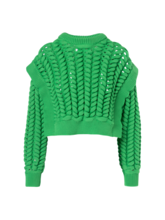 /original/FA224008_AKNV_GRASS_1.png_convert-240x320