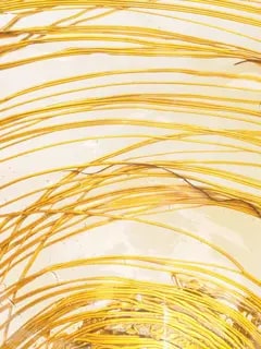 مزهرية أوجيفا من تشكيلة فيش ديزاين من جايتانو بيشي