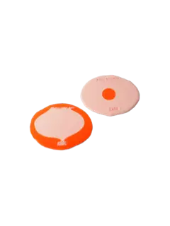 طقم قاعدة أكواب صغيرة من تشكيلة جايتانو بيشي من مجموعة فيش ديزاين، مكون من قطعتين