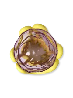 مزهرية إنديان سمر من تشكيلة فيش ديزاين من جايتانو بيشي