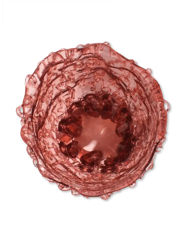 مزهرية ميدوسا شفافة من تشكيلة فيش ديزاين من جايتانو بيشي