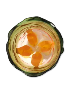 مزهرية إكسترا كولور شفافة من تشكيلة فيش ديزاين من جايتانو بيشي