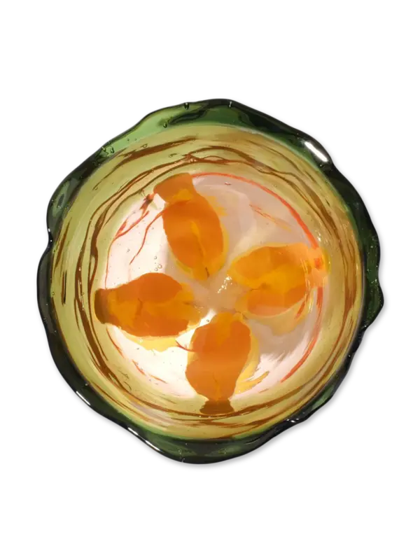 مزهرية إكسترا كولور شفافة من تشكيلة فيش ديزاين من جايتانو بيشي