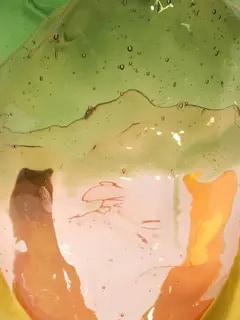 مزهرية إكسترا كولور شفافة من تشكيلة فيش ديزاين من جايتانو بيشي