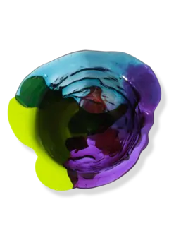 Fish Design By Gaetano Pesce Amazonia Vase