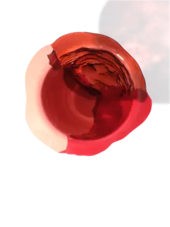 مزهرية أمازونيا من تشكيلة فيش ديزاين من جايتانو بيشي