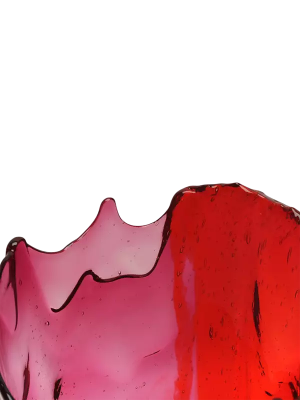 مزهرية مزدوجة على شكل حرف C بتصميم سمكة من جايتانو بيشي