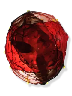 مزهرية سبيشال إكسترا كولور شفافة من تشكيلة فيش ديزاين من جايتانو بيشي