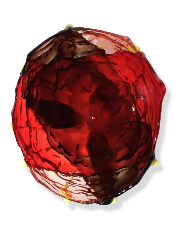 مزهرية سبيشال إكسترا كولور شفافة من تشكيلة فيش ديزاين من جايتانو بيشي