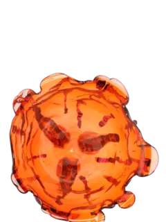 Fish Design By Gaetano Pesce Clear Special Vase Extra Color