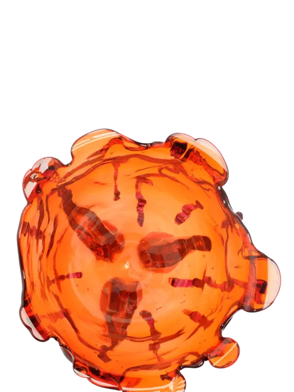 Fish Design By Gaetano Pesce Clear Special Vase Extra Color