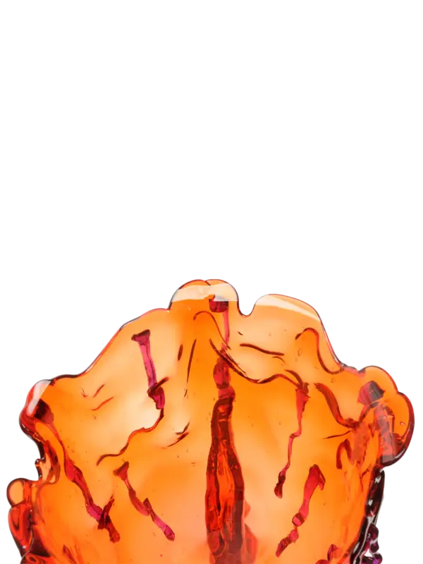 Fish Design By Gaetano Pesce Clear Special Vase Extra Color