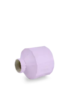 /original/FIDE2023_PAPA_Lilac_3.png_convert-240x320