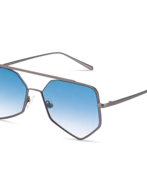 /original/FIGUEROAII_BONN_Blue_Heron_5.png_convert-600x800