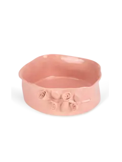 /original/FLOWERSALAROUND_CONS_Pink_1.png_convert-240x320