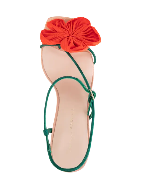 /original/FRANK_LORA_Multicolou_5.png_convert-600x800