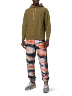 Temple Hood Premium Hoodie