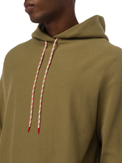 Temple Hood Premium Hoodie
