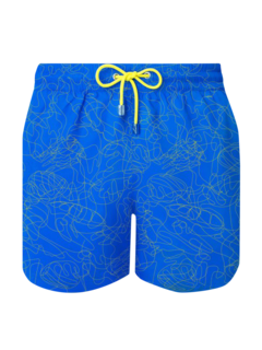 Vimer men swimwear