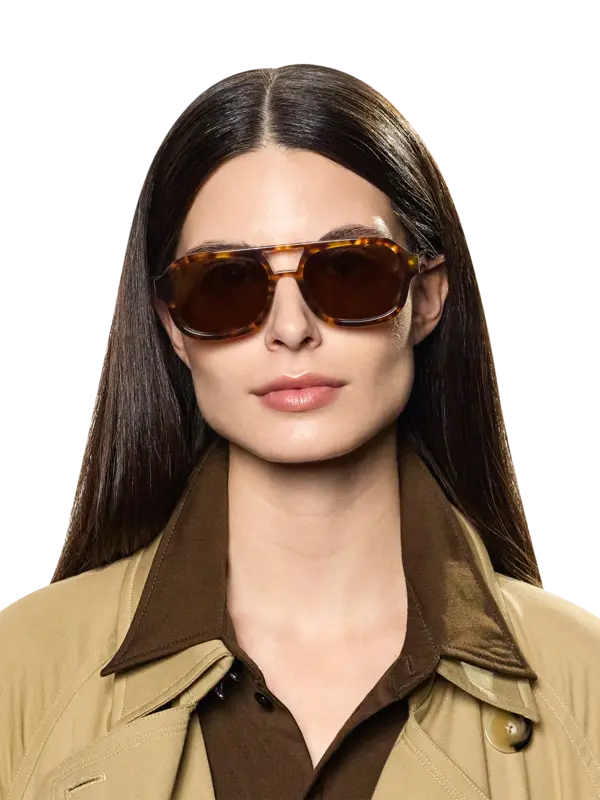 /original/GIESHATO_TBD_Spotted Ha_2.png_convert-600x800