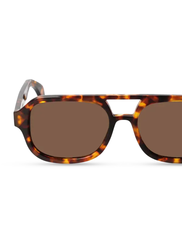 /original/GIESHATO_TBD_Spotted Ha_4.png_convert-600x800