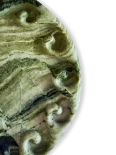 /original/GREENWAVE_CONS_Green_3.png_convert-240x320