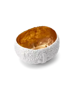 /original/HB267_LOBJ_White Gol_4.png_convert-240x320