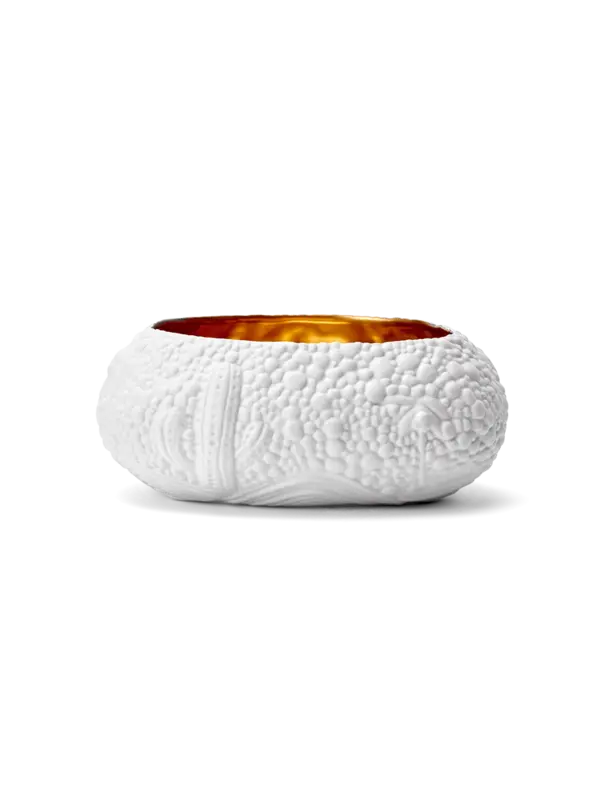 /original/HB268_LOBJ_White Gol_3.png_convert-600x800