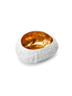 /original/HB268_LOBJ_White Gol_5.png_convert-240x320