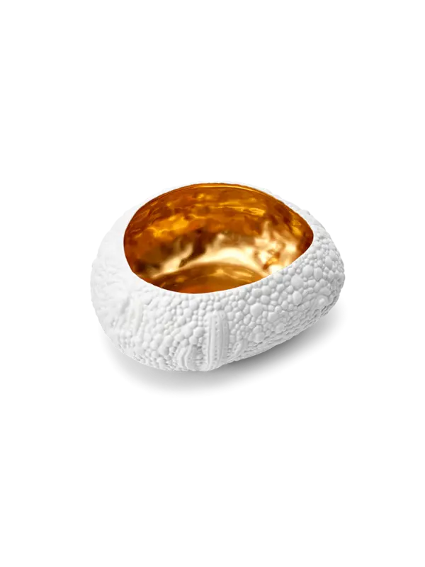 /original/HB268_LOBJ_White Gol_5.png_convert-600x800