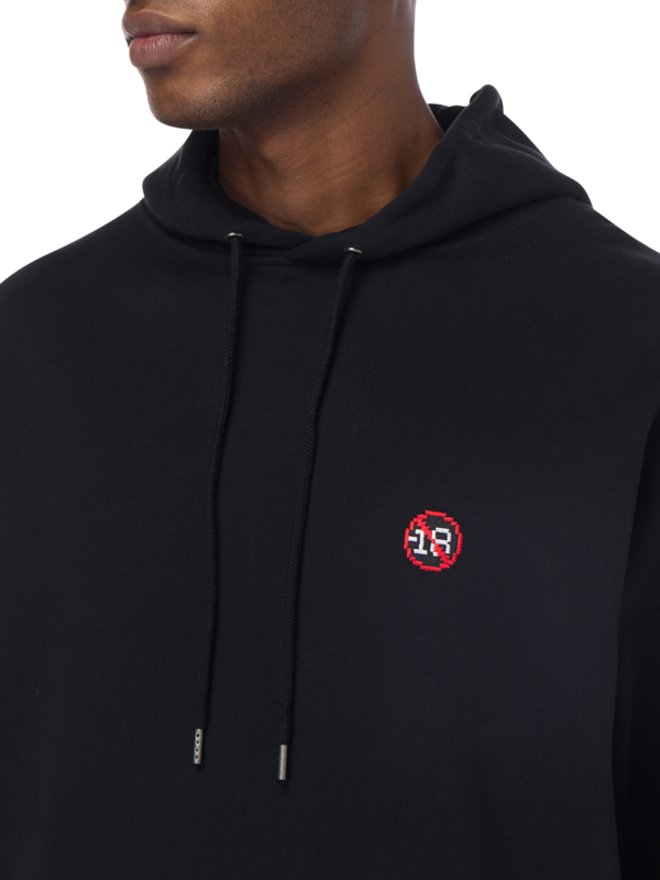 18+ Embroidered Hoodie