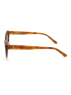 /original/HIRO_BONN_Tortoise G_4.png_convert-240x320