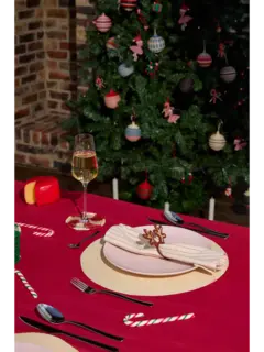 /original/HOLNR632830_COCO_Multicolor_2.png_convert-240x320